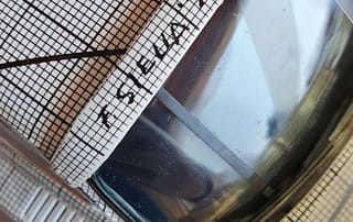 Frank Stella signature on Bmw art car miniature